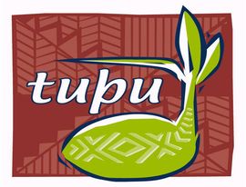 Pacific Alcohol & Other Drug & Gambling Service | Waitematā - Tupu | Te Whatu Ora