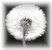 The New Zealand LAM Charitable Trust