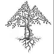 Christopher Phoon - Orthopaedic Surgeon