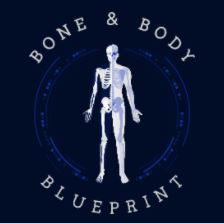 Bone and Body Blueprint