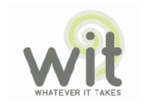 Whatever It Takes Trust Inc (WIT)