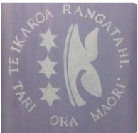 Te Ikaroa Rangatahi Social Services