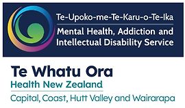 Community Mental Health Teams (General Adult) | MHAIDS | Te Whatu Ora