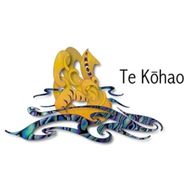 Te Kōhao Health - Mental Health & Addictions Services