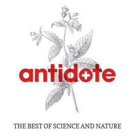 Antidote Macandrew