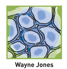 Dr Wayne Jones - General, Breast & Endocrine Surgeon