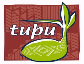 Waitemata DHB Tupu - Pacific Alcohol & Other Drug & Gambling Service