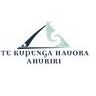 Te Kupenga Hauora - Ahuriri - Stop Smoking & Suicide Prevention Services