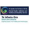 Crisis Resolution Service (CRS) | MHAIDS | Te Whatu Ora