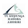 Te Kupenga Hauora Ahuriri COVID-19 Vaccination and Testing clinic